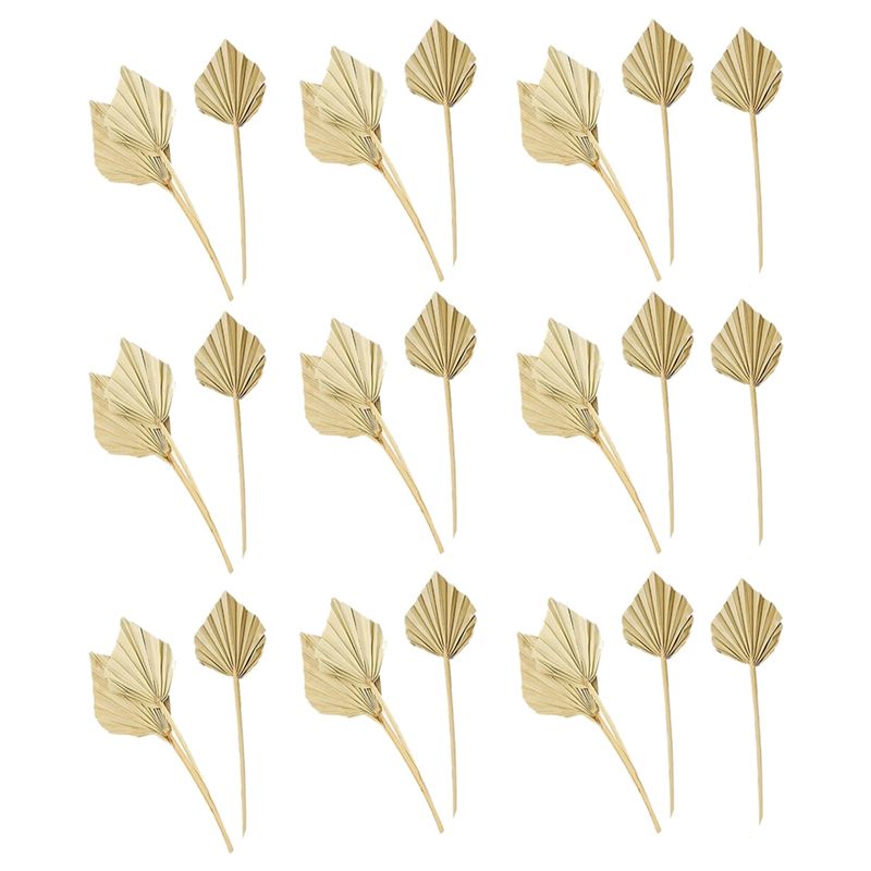 Palm Leaf Dried - AS60-30 шт. Натуральные сушеные пальмовые вееры