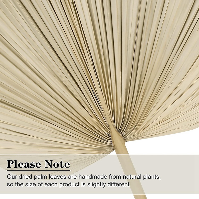 Palm Leaf Dried - Новые 6 шт. сушеные пальмовые листья,
