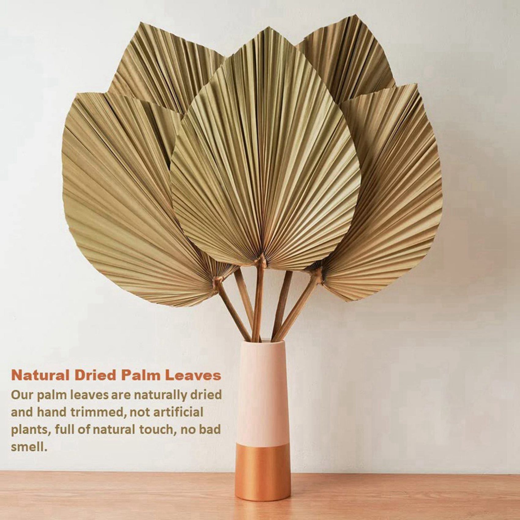 8 штук натуральных сушеных пал – обзор и цена Palm Leaf Dried