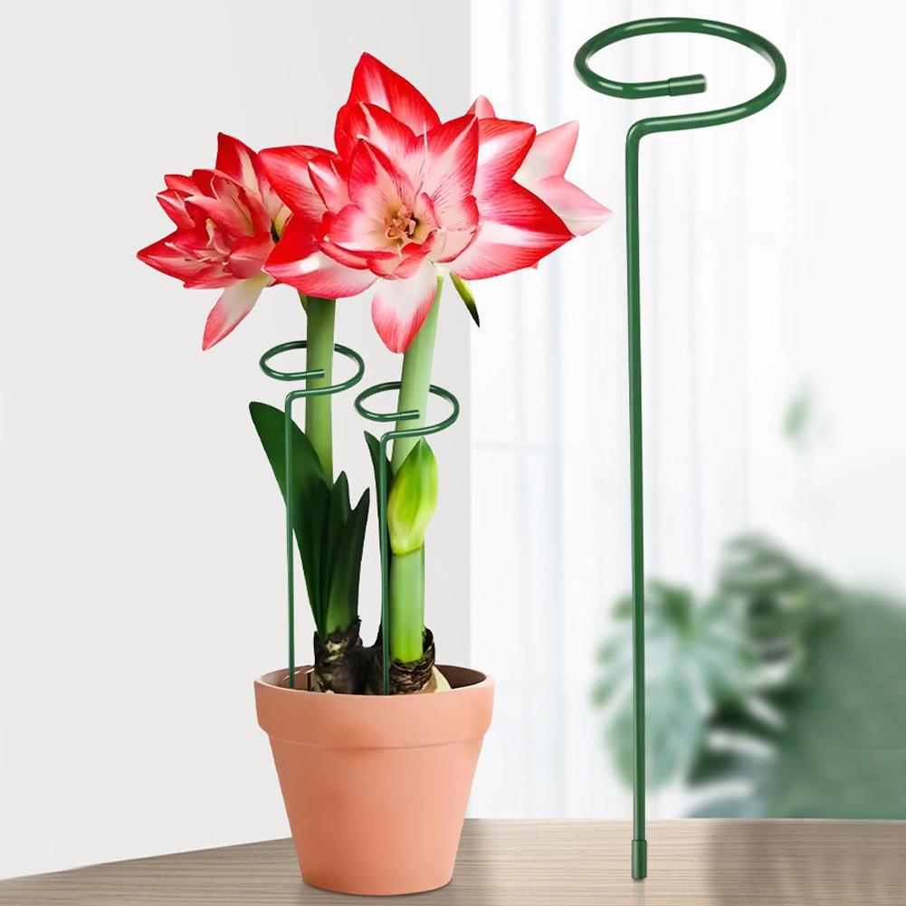 Металлические опоры для растен – обзор и цена Florist Supply Bulk