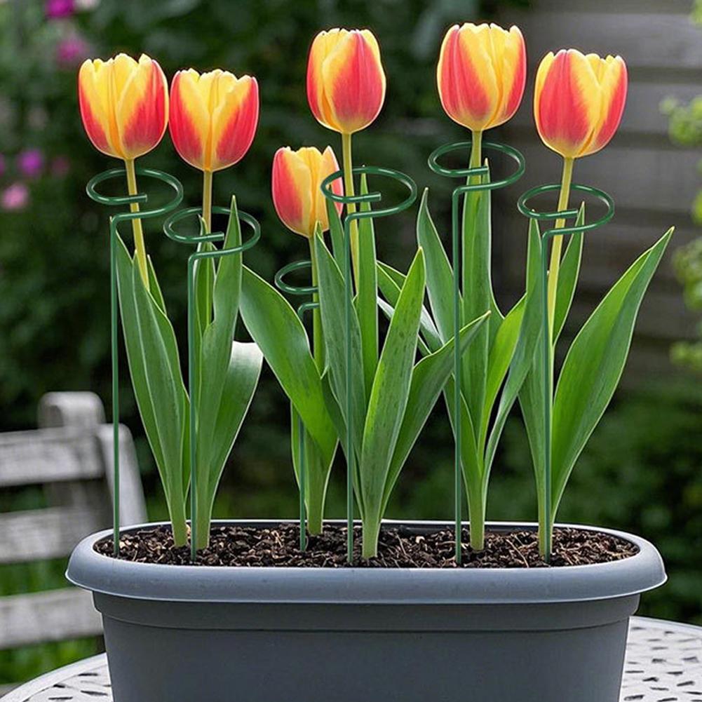 Металлические опоры для растен – обзор и цена Florist Supply Bulk