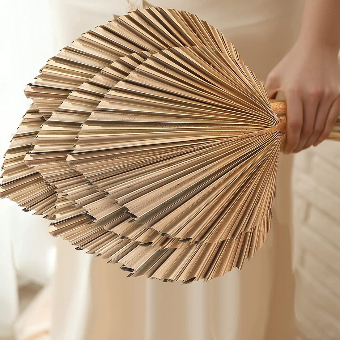 5 шт., натуральные сушеные пал – обзор и цена Palm Leaf Dried