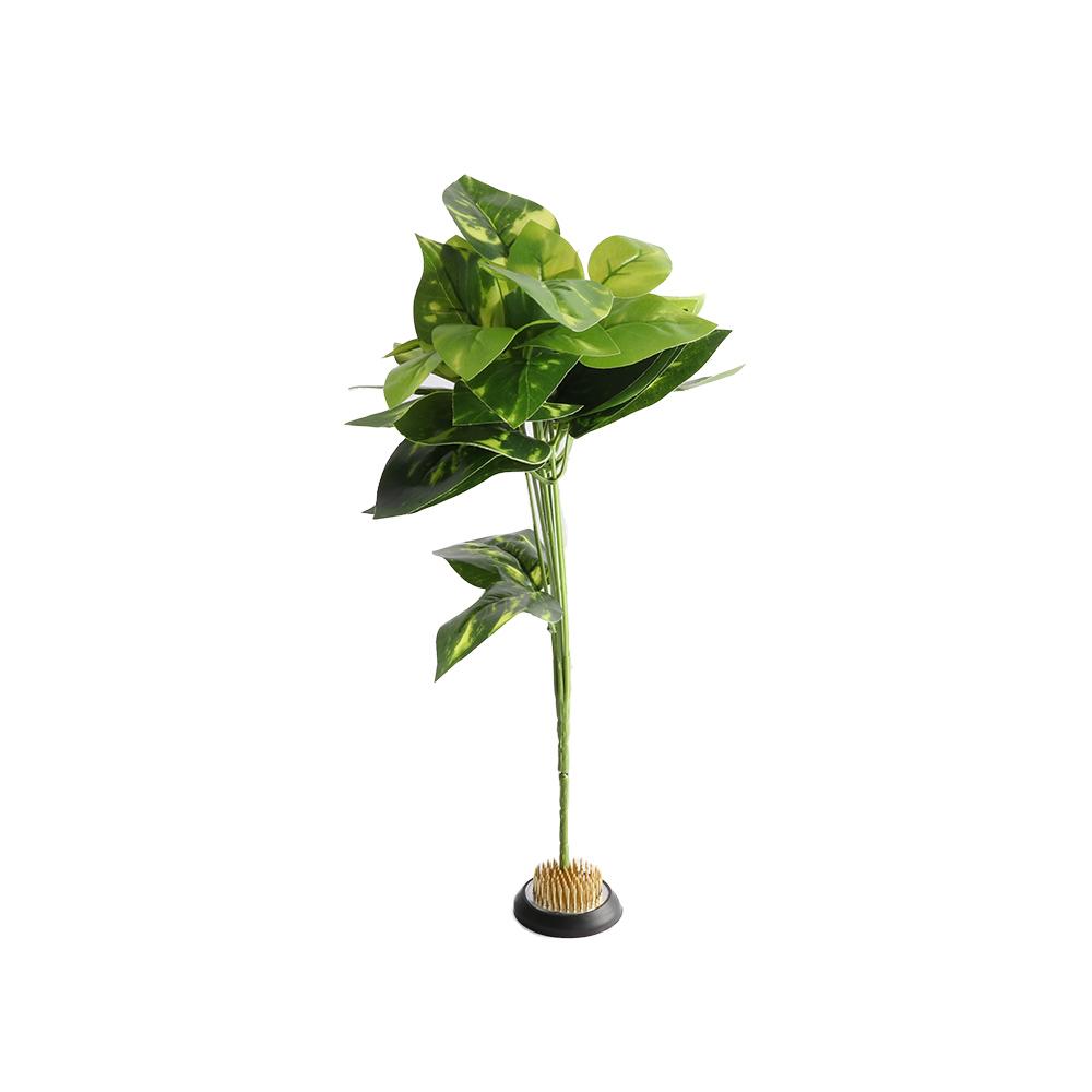 Резиновый кензан с шипами для  – обзор и цена Flower Frog Pin