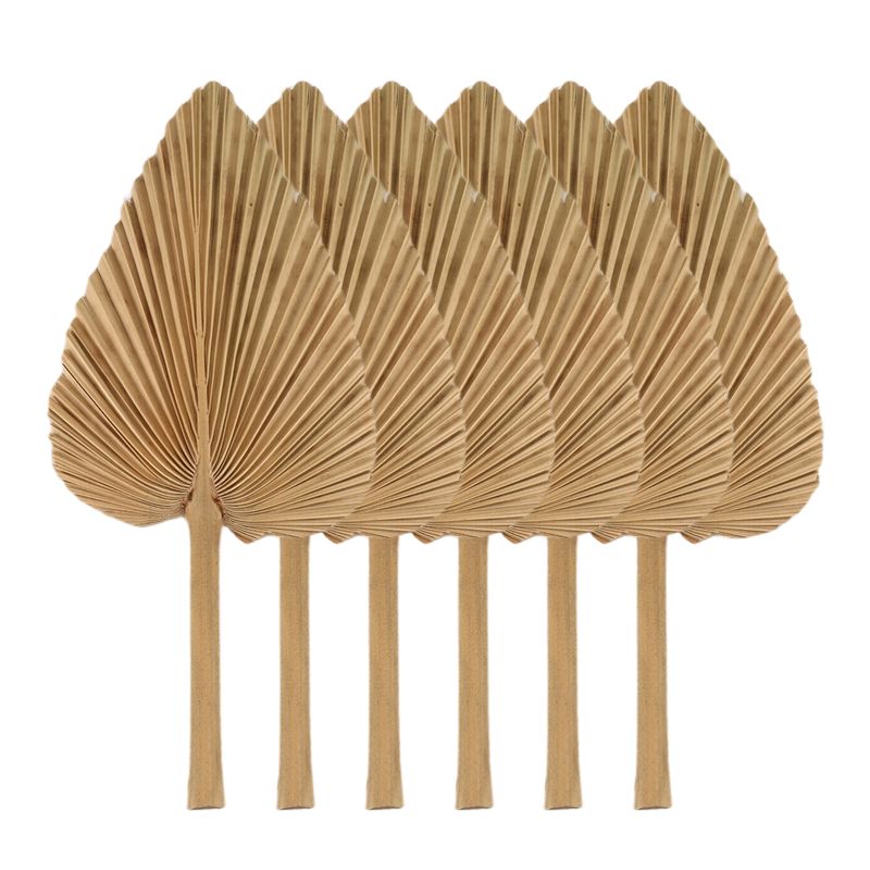 Сушеные пальмовые листья AT84- – обзор и цена Palm Leaf Dried