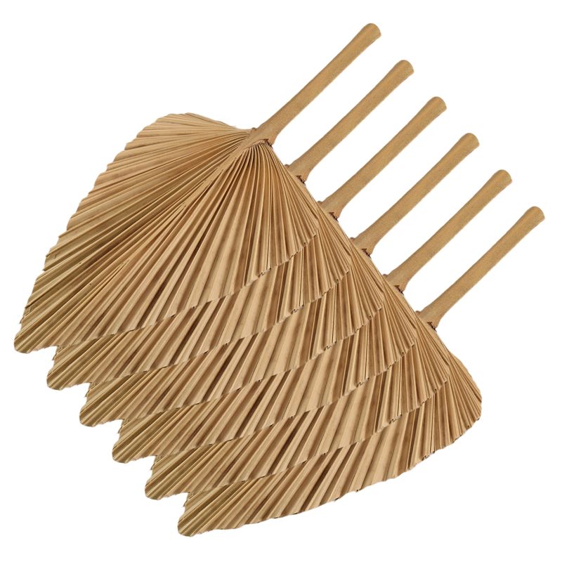 Сушеные пальмовые листья AT84- – обзор и цена Palm Leaf Dried
