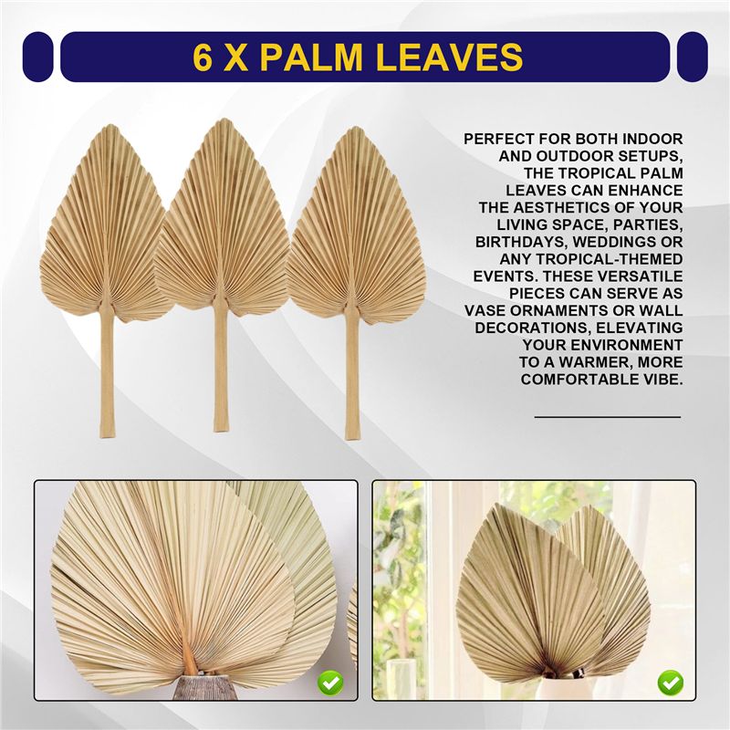Сушеные пальмовые листья AT84- – обзор и цена Palm Leaf Dried