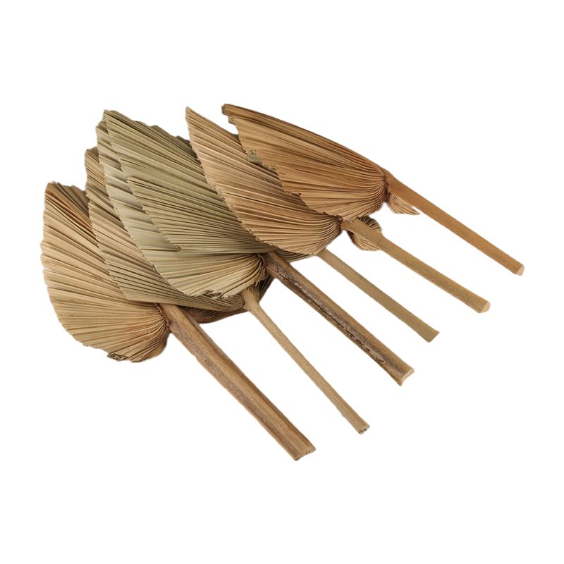 Сушеные пальмовые листья AT84- – обзор и цена Palm Leaf Dried
