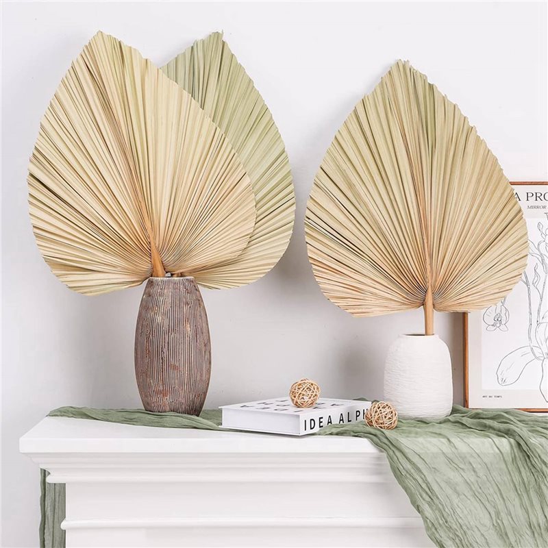 【РАЖДЕСТВА】24 шт. сушеных паль – обзор и цена Palm Leaf Dried