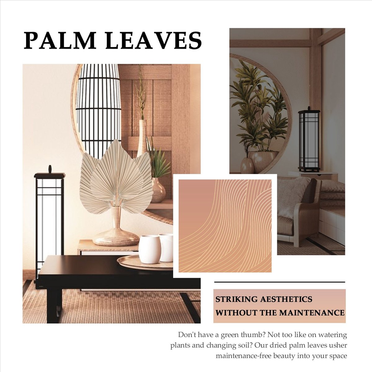 Сушеные пальмовые листья NOCM  – обзор и цена Palm Leaf Dried