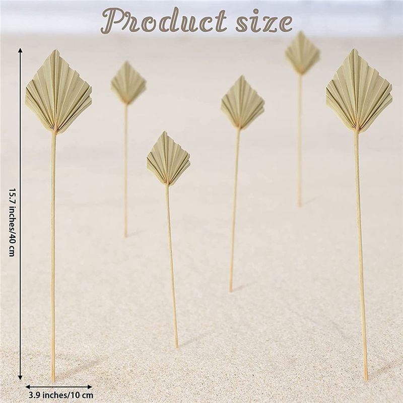 AS60-30 шт. Натуральные сушены – обзор и цена Palm Leaf Dried