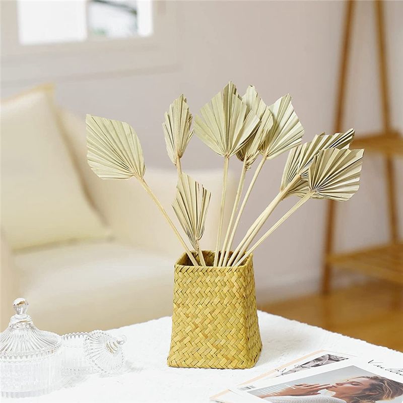 AS60-30 шт. Натуральные сушены – обзор и цена Palm Leaf Dried