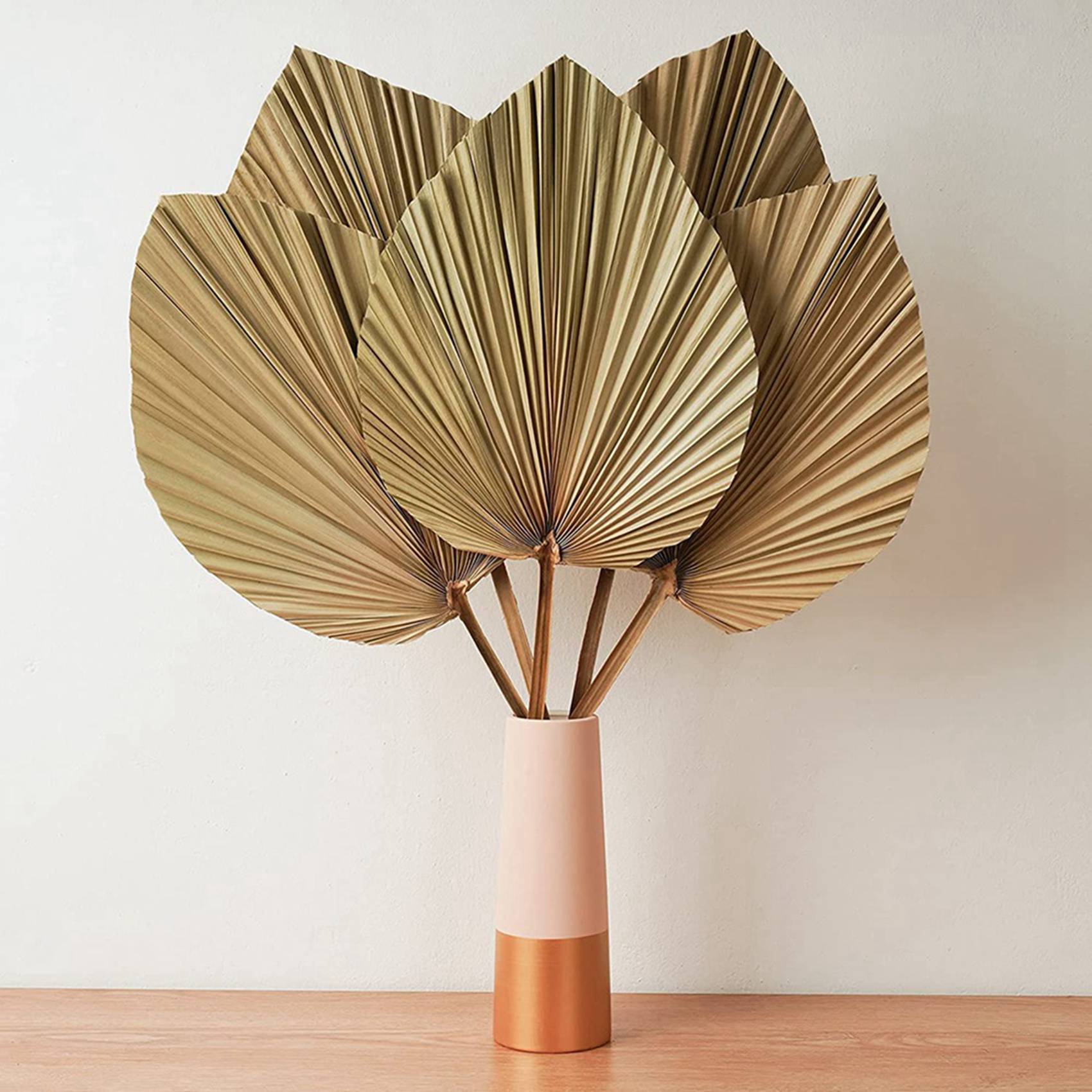 Сушеные пальмовые листья для д – обзор и цена Palm Leaf Dried