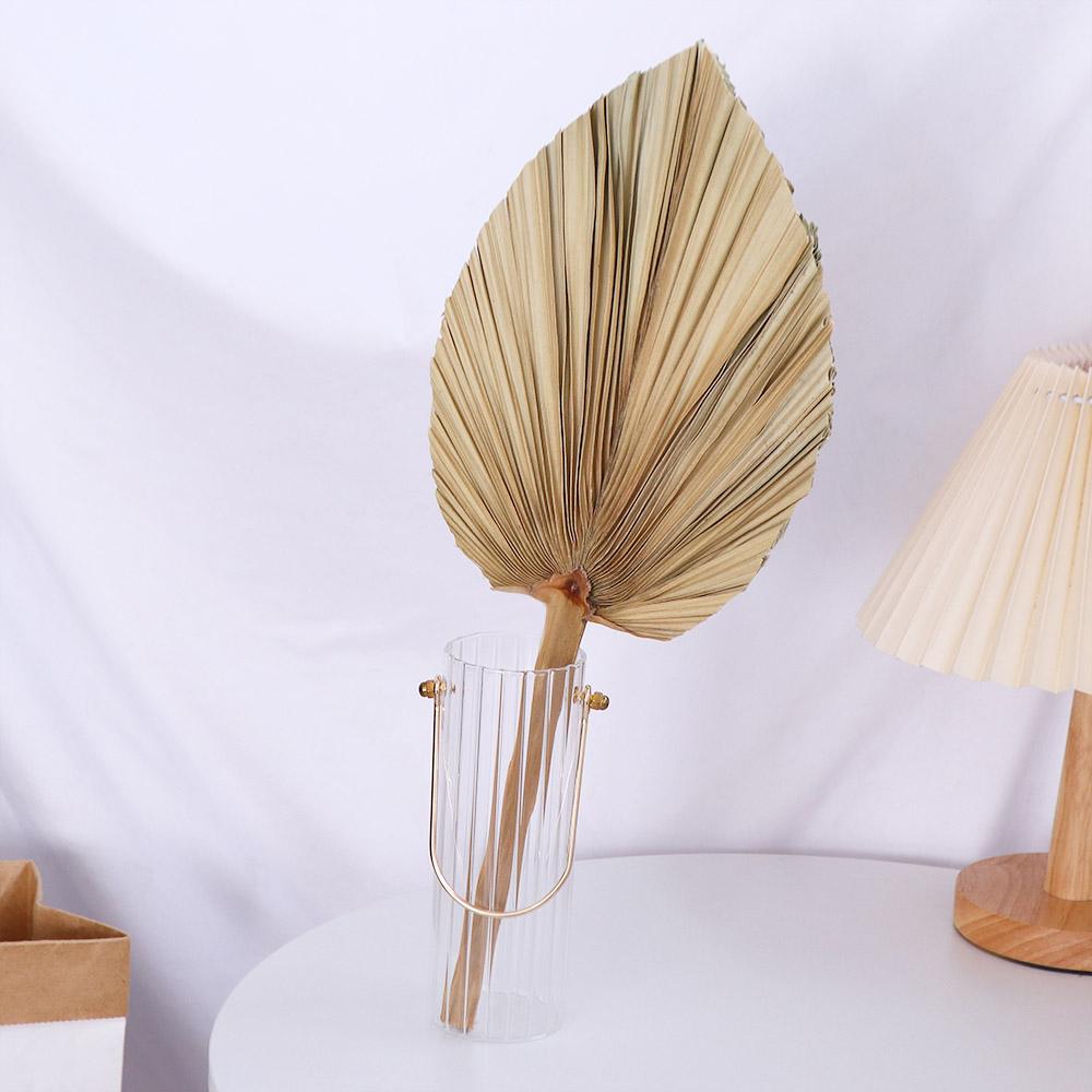 Декоративные листья пальмы в с – обзор и цена Palm Leaf Dried