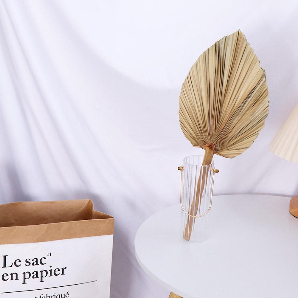 Декоративные листья пальмы в с – обзор и цена Palm Leaf Dried