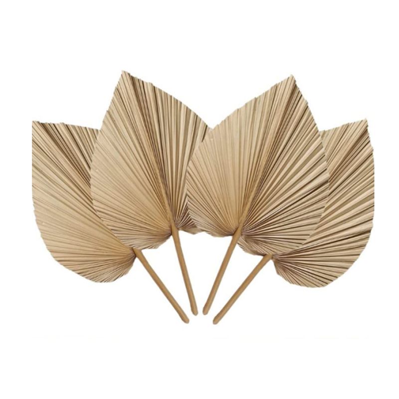 Набор из 6 натуральных тропиче – обзор и цена Palm Leaf Dried