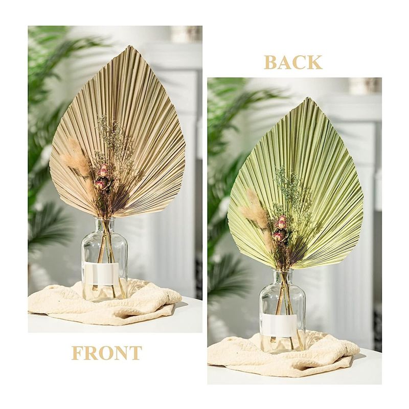 Набор из 6 натуральных тропиче – обзор и цена Palm Leaf Dried