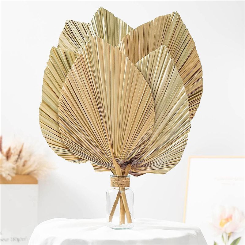 Набор из 6 натуральных тропиче – обзор и цена Palm Leaf Dried