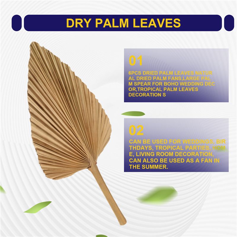 ABKO-6 шт. сушеных пальмовых л – обзор и цена Palm Leaf Dried