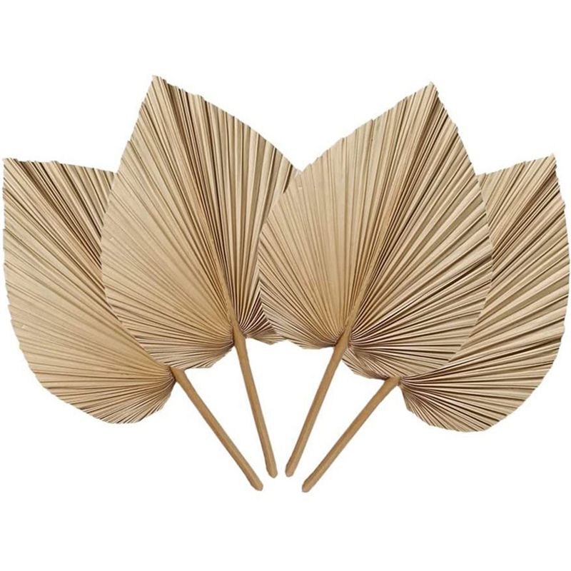 Натуральные сушеные пальмовые  – обзор и цена Palm Leaf Dried