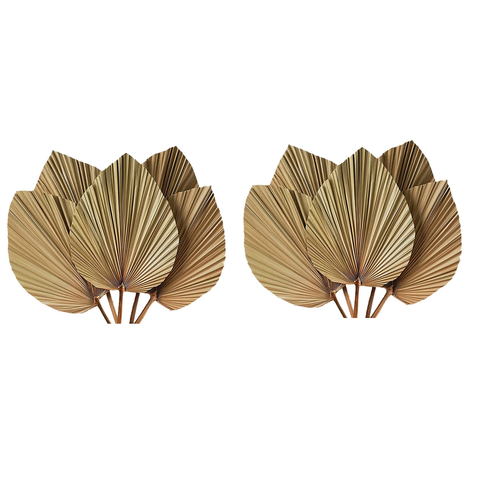 Сушеные пальмовые листья для д – обзор и цена Palm Leaf Dried
